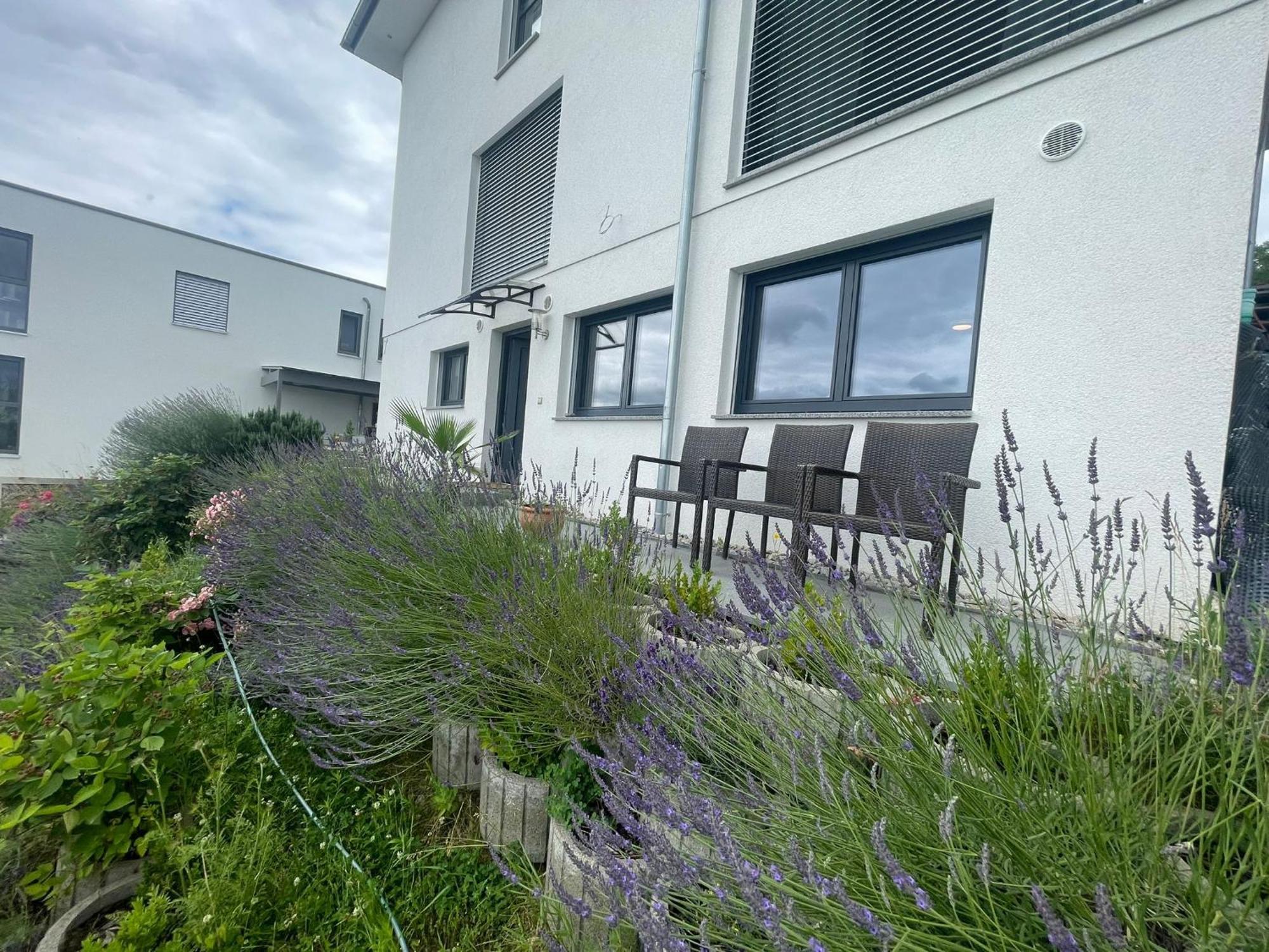 Appartement Vogesenblick à Bad Bellingen Extérieur photo
